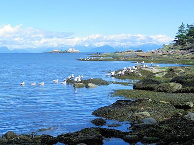 Olebar Point, Entrance Island Lighthouse