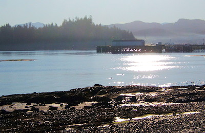 Hardy Bay